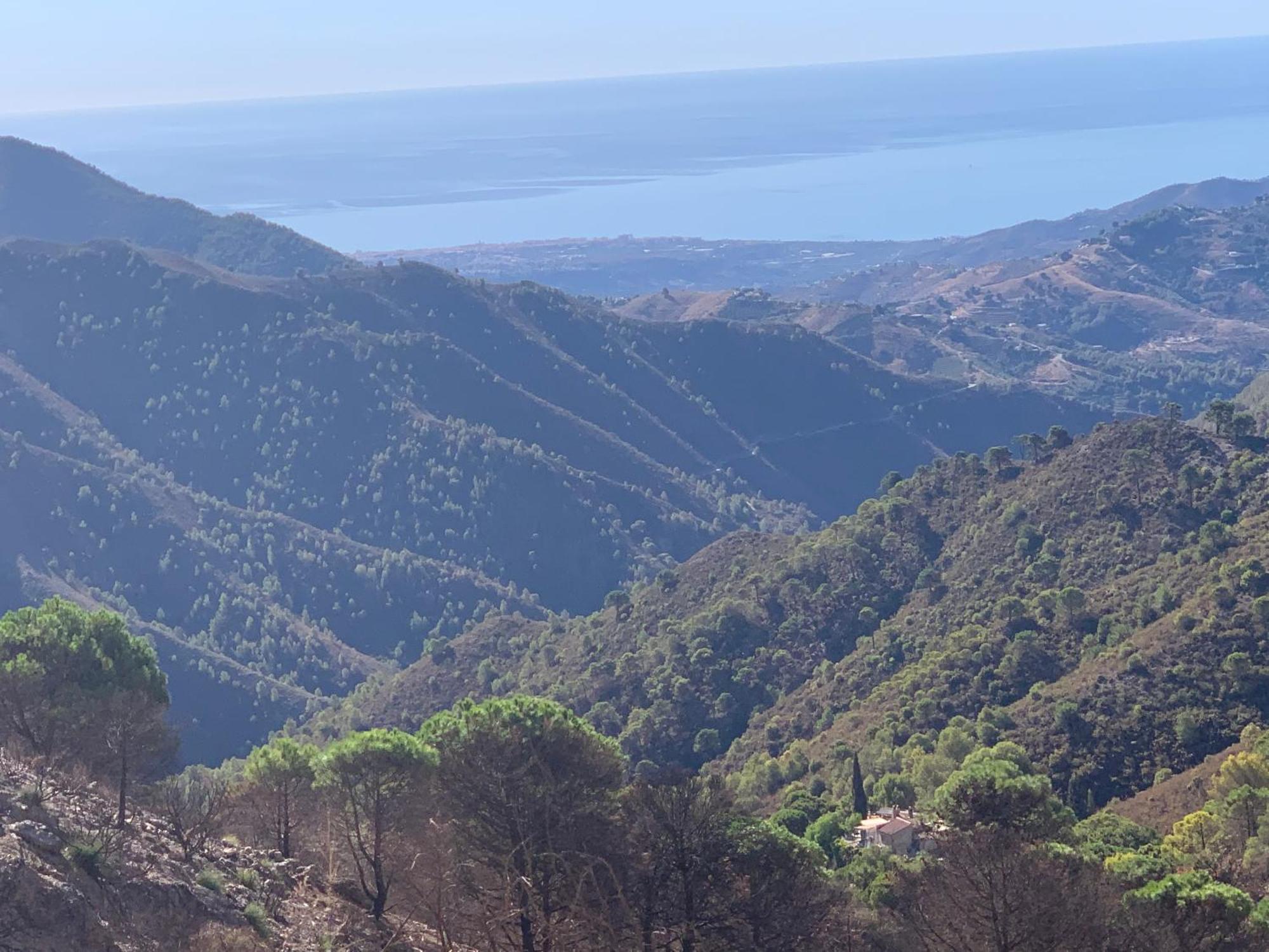 Finca El Almendro Málaga Dış mekan fotoğraf