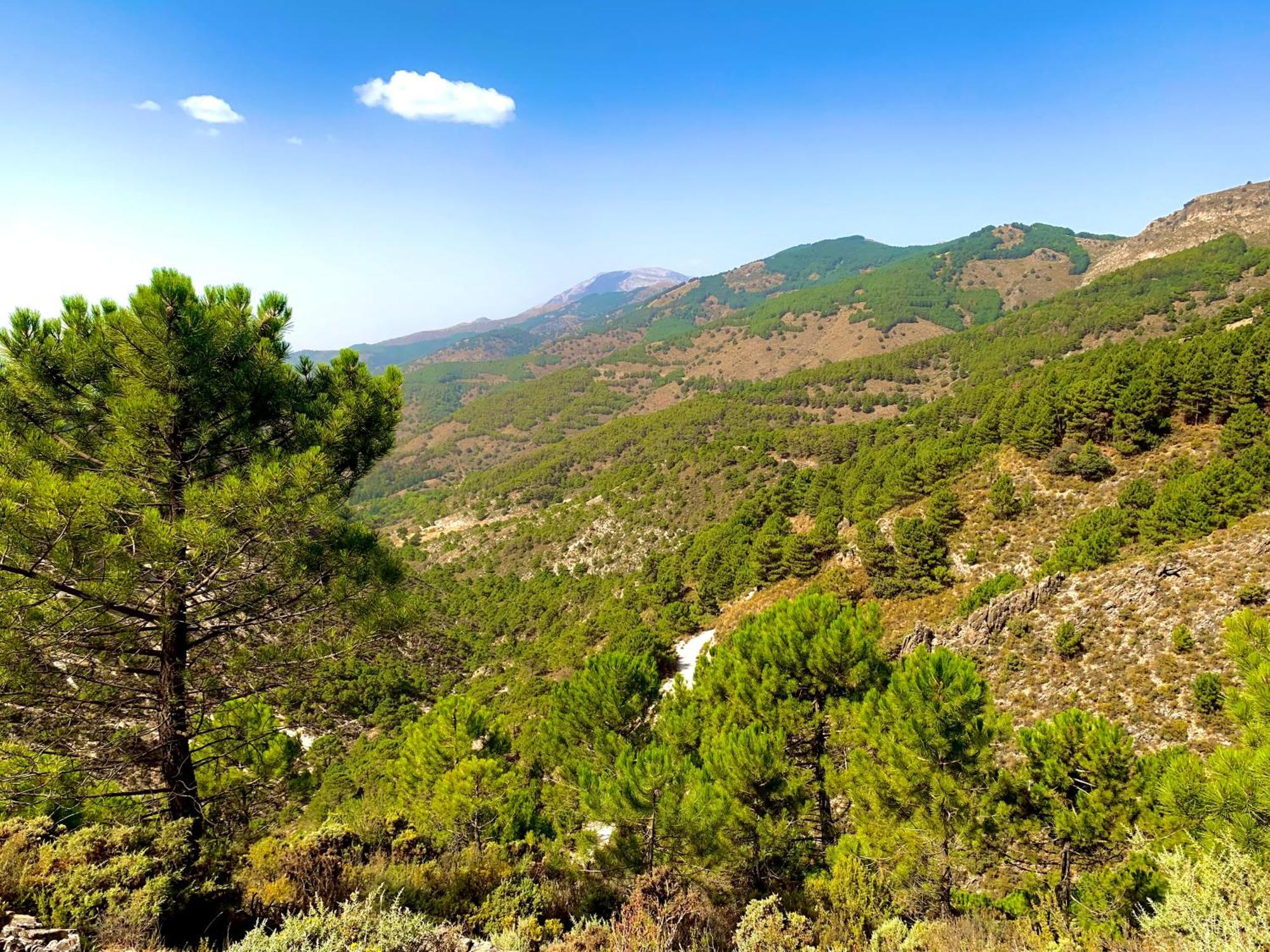 Finca El Almendro Málaga Dış mekan fotoğraf