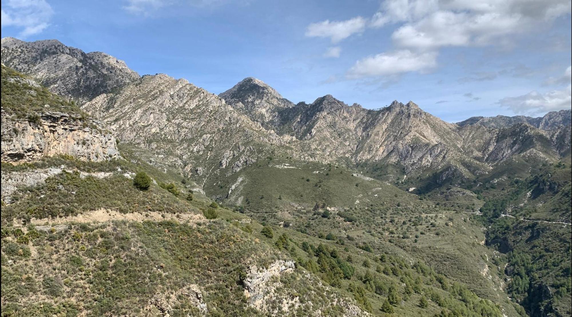 Finca El Almendro Málaga Dış mekan fotoğraf